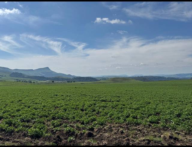 830HA FARM FOR SALE IN DARGLE